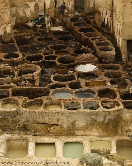 Fez Medina Tannery