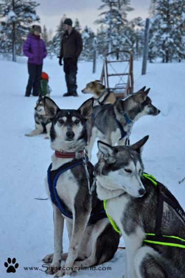 521400_605008802858227_947689932_n