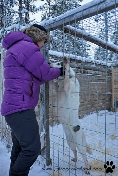 563549_605008749524899_1045890888_n