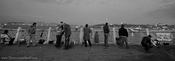 10056_624780950881012_1677325923_n