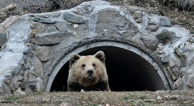 540744_624433367582437_894647396_n