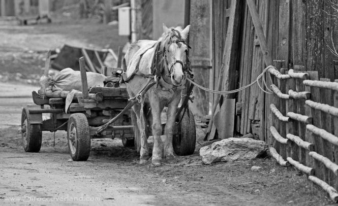 562119_624433537582420_1537501642_n