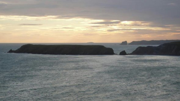 310816_276623655696745_8054667_n.jpg image