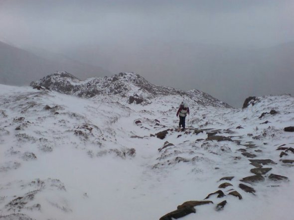 39437_180078118684633_804301_n.jpg image