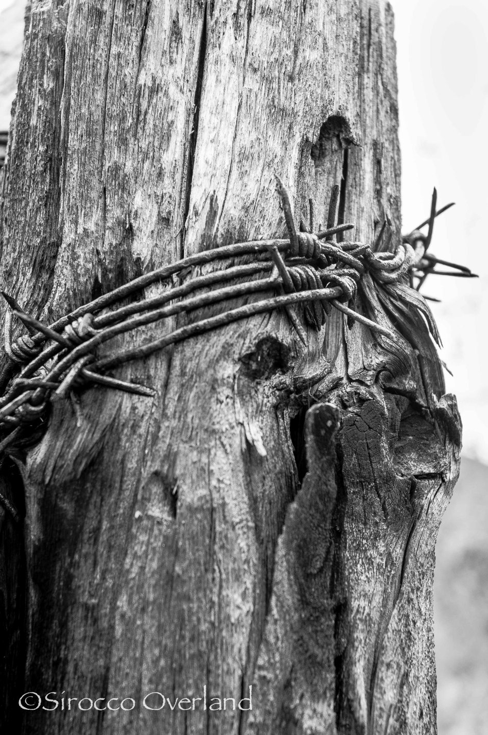 Siberia, Russia, Stalin, GULAG, Magadan